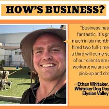 How's business at Whitaker Dog Day Camp in Elysian Valley