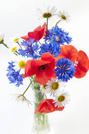 Wildflower Bouquet Poppy Flower Bouquet Wildflower Bouquet Poppy Bouquet