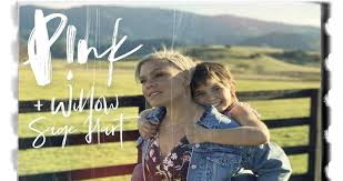He too made his singing debut on tiktok, which led many fans to tease that willow's adorable brother has a. P Nk To Release New Single With Daughter Willow Sage Hart