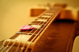 Choosing a Flat Pick for Guitar or Mandolin – Homestead on the Range