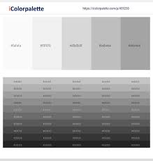 A deep purple and silver and white business card. 33 Latest Color Schemes With White And Silver Color Tone Combinations 2021 Icolorpalette