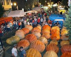 Image result for giant pumpkin