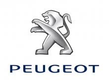 Lower emissions a concern for india as appetite for coal, oil rises with energy demand. Peugeot Mexico S A De C V Global Fleet
