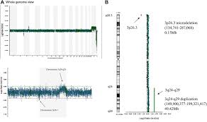 Duplication of 3p the disorder was first described in the medical literature in 1972 (rethore 1972). Mosaic Deletion Duplication Syndrome Of Chromosome 3 Prenatal Molecular Cytogenetic Diagnosis Using Cultured And Uncultured Amniocytes And Association With Fetoplacental Discrepancy Sciencedirect