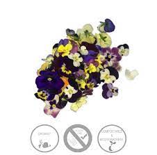 We did not find results for: Edible Flowers 300ml Green Heart Organics