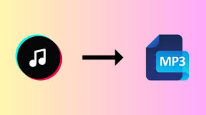 2 Ways to Download TikTok to MP3 [2024]