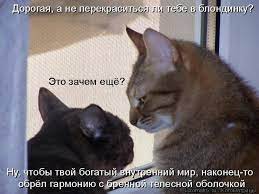 Иллюстрации к "От моих читателей"