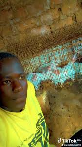 Transport request for Six Feathers Farm