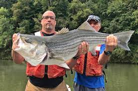 Maybe you would like to learn more about one of these? Cumberland River Striper Fishing Report Tnfishingreport Com Mobile Version