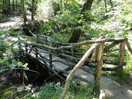 le petit pont de bois pont de jardin pont bassin de jardin