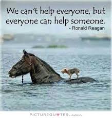 Helping Animals Quotes Beautiful Quotes Motivational Quotes Words