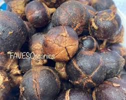 Image result for Thespesia garckeana