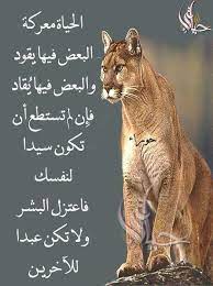 pin by فلسطينية ولي الفخر on روائع الحكم arabic quotes arabic words quotes