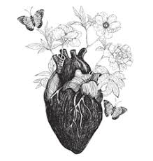 See more ideas about drawings, flower drawing, sketches. Anatomical Heart Flowers Human Drawing Flower Vector Images 93