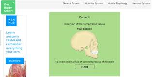 Select a human anatomy system to begin. Get Body Smart Anatomy Trapezius Muscle The Ultimate Nonsense