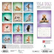 They always leave me report cards about how he did, which is great. Yoga Dogs Wall Calendar Calendars Com