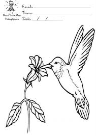 Então você veio ao lugar certo. Desenhos Para Colorir Sobre A Primavera Mundinho Da Crianca