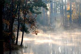 Check spelling or type a new query. 14 Artesian Lakes Retreat Ideas Lake Retreat Artesian Retreat