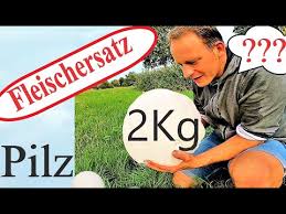 Riesen Bovist Im Garten Leckeres Rezept Bovist Schnitzel Youtube