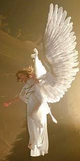 F1908cb137c05889f644f4be8fbb5a09 Jpg 261 523 Angel Pictures Angel Art Fairy Angel