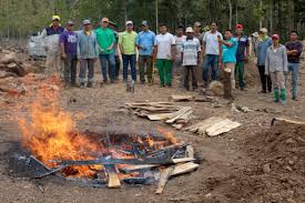 Check spelling or type a new query. Smoldered Pile Vs Open Pit Biochar Production A Showdown In Ecuador Pacific Biochar Benefit Corporation
