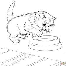 The cat is a domestic species of small carnivorous mammals. Coloring Of The Cat Coloring Pages For Kids