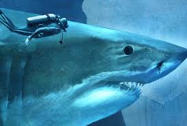 Resultado de imagen de megalodon pelicula