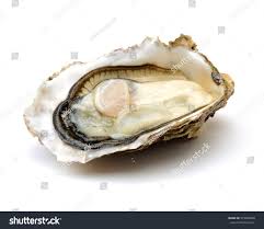 Pin Op Oester Tekening