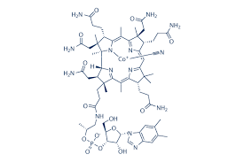 Plants contain no vitamin b12 but ruminal and intestinal bacteria can synthesize adequate amounts when sufficient (approximately 0.1 mg cobalt per kg diet dry matter) cobalt is available. Vitamin B12 99 Hplc Selleck Vitamin Chemical