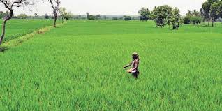 Users can broaden their real estate investment portfolio with these amazing deals from various dealers. Farmland Can Be Good Investment But Beware The New Indian Express