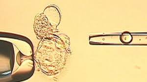 Pin On Health And Beauty