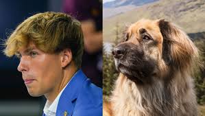 Top 10 College Football Quarterbacks And Their Dog Lookalikes