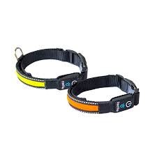 At regular intervals, the kaddz collar updates the data on the server and locates the latest position of your cat, should it be on the move. Gps Tracker Fur Katzen Nr 1 Weltweit Katzen Halsband Kunstleder