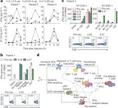 Check spelling or type a new query. Systemic Rna Delivery To Dendritic Cells Exploits Antiviral Defence For Cancer Immunotherapy Nature