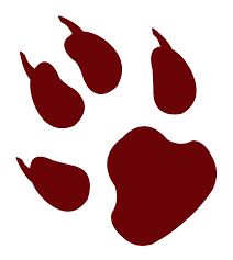 Animal Footprint Png Image Animal Footprints Animals Paw Print