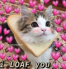 All posts must be wholesome memes. A Daily Dose Of Wholesome Memes Wholesome Meme 7 Wattpad