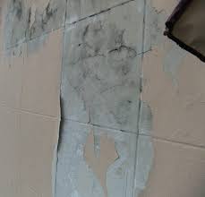 You can paint interior cinder block walls. How To Paint Concrete Walls Homideal