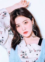 Check spelling or type a new query. Red Velvet Members Profile Age Height Facts Profilesio