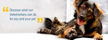 Check spelling or type a new query. Trinity Pet Hospital Home Facebook