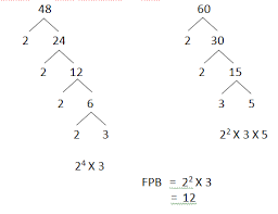 Tentukan fpb dari bilangan 8, 24, dan 36. Menentukan Fpb Dan Kpk Ilmu Hitung