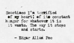 Kindred Spirit Edgar Allan Poe One Sentence Quotes Poe Quotes Amazing Quotes
