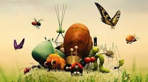 Regardez les épisodes complets de minuscule : A Voir Minuscule La Vie Privee Des Insectes Youtube