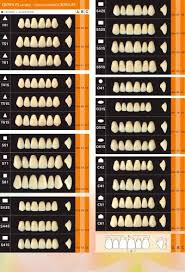 Mould Chart Yamahachi Dental Mfg Co Pdf Catalogs