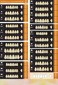 Mould Chart Yamahachi Dental Mfg Co Pdf Catalogs