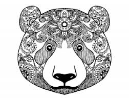 He is called the master of the forest and deservedly so. Bears Coloring Pages For Adults