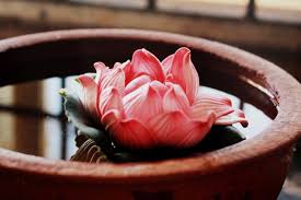 Loved various items used & also the color & design combinations. Top 10 Home Decor Bloggers In India Whizsky