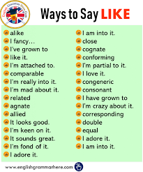 Full list of synonyms for also is here. Ways To Say Also Synonym Words With Also English Grammar Here English Writing Skills English Phrases Essay Writing Skills