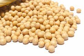 Maybe you would like to learn more about one of these? Cos E Il Miso E Come Si Usa In Cucina Bacchette E Pomodoro