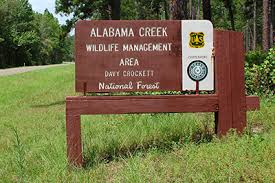 National Forests and Grasslands in Texas - Maps & Publications