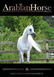 Arabian Horse Magazine N4 2018 Paris Issue By Arabian Horse Magazine Issuu